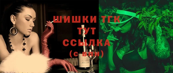 гашик Абинск
